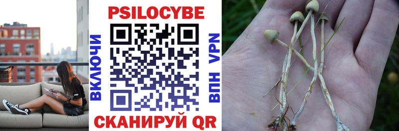 Псилоцибиновые грибы Psilocybe  KRAKEN зеркало  Гдов 